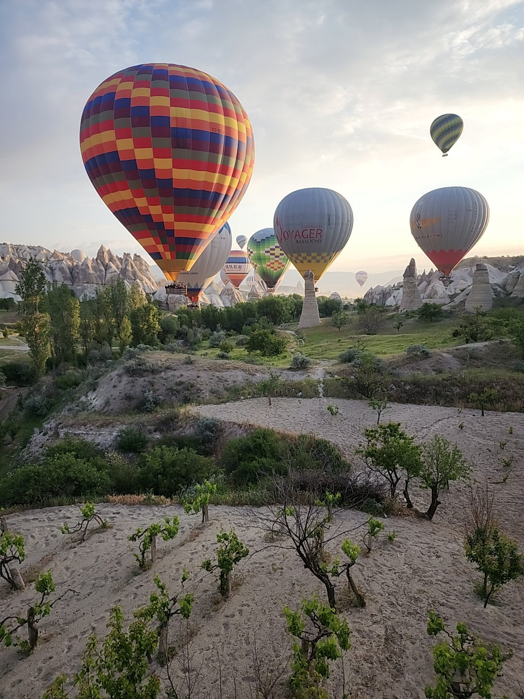 hot air balloons over Cappodoccia