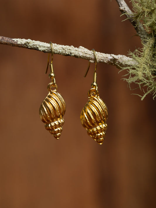 Gold Conch Shell Earrings