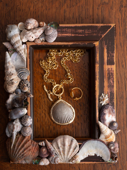 Sea Shells Necklace