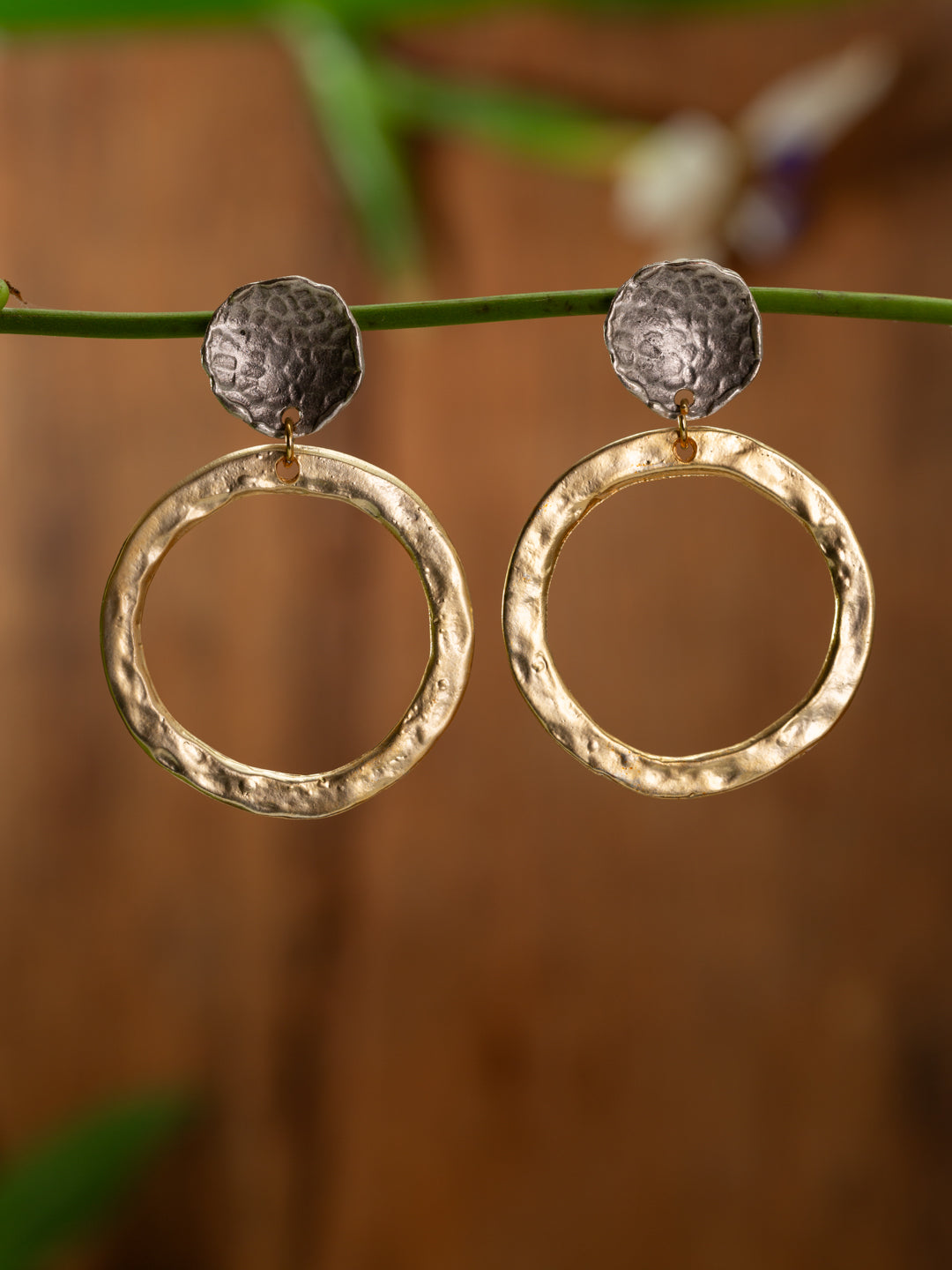 Gold and circle hoop earrings against a timber back drop