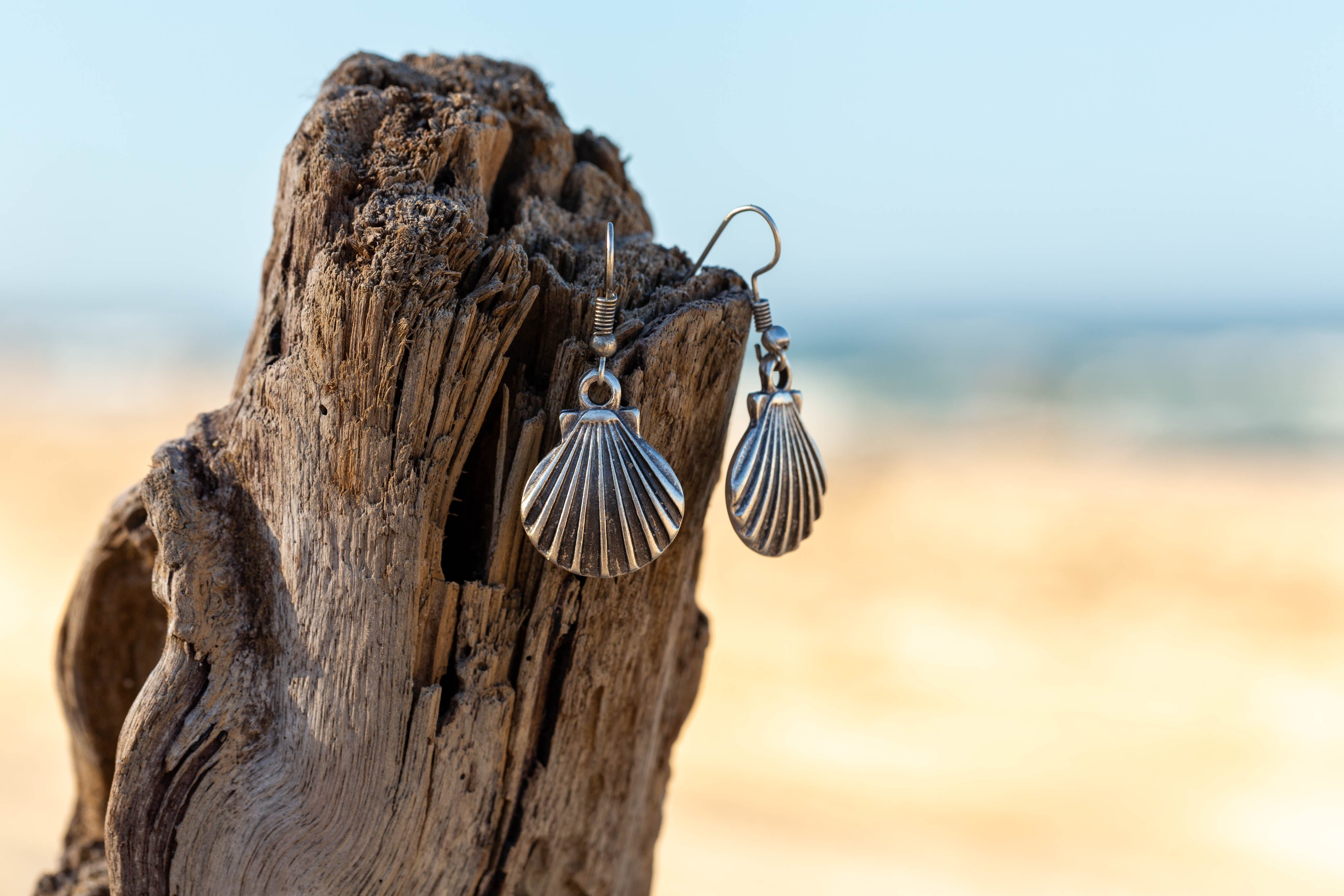 Tabu Shell Ring Shell Earring – Taboo Fashion & Accessories