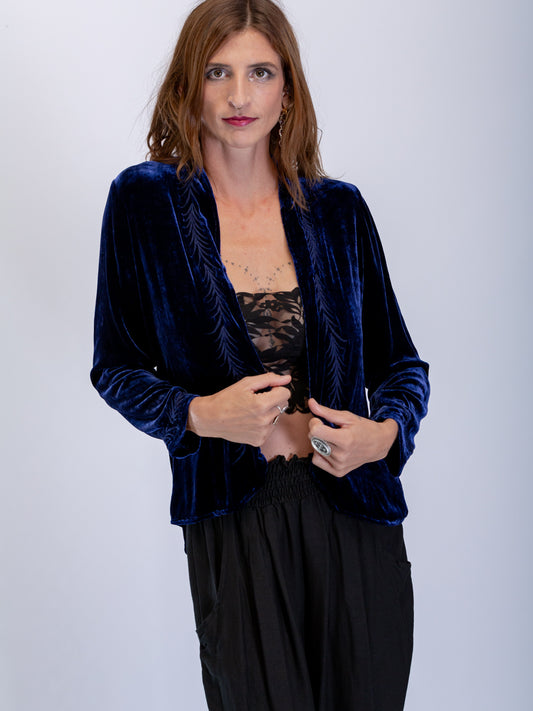 Audrey Silk Velvet Embroidered Jacket Navy