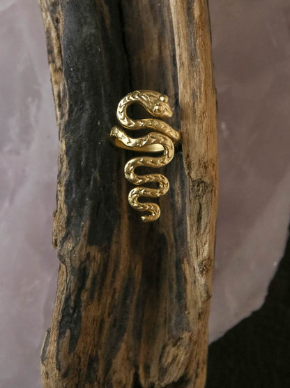 Gold snake ring on driftwood